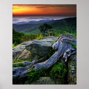 Poster États-Unis, Virginie, Parc national de Shenandoah.