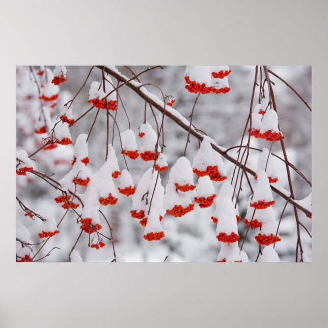 Poster États-Unis, Washington, comté de Spokane (Devant)