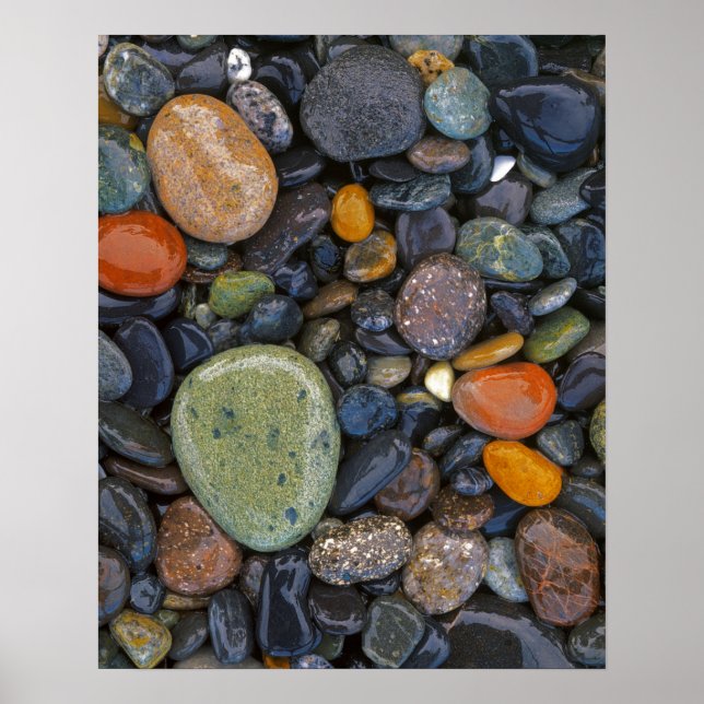 Poster États-Unis, Washington, Lopez Island, Agate Beach (Devant)