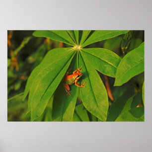 Poster États-Unis, Washington, Seattle, Discovery Park 2
