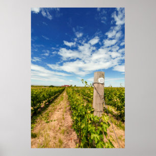 Poster États-Unis, Washington, Walla Walla. Cabernet Sauv