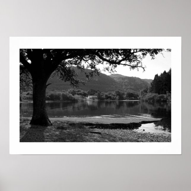 Poster Été à Strandshag Bay (Devant)