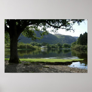 Poster Été à Strandshag Bay : Derwentwater