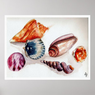 Poster Eté Coques de mer