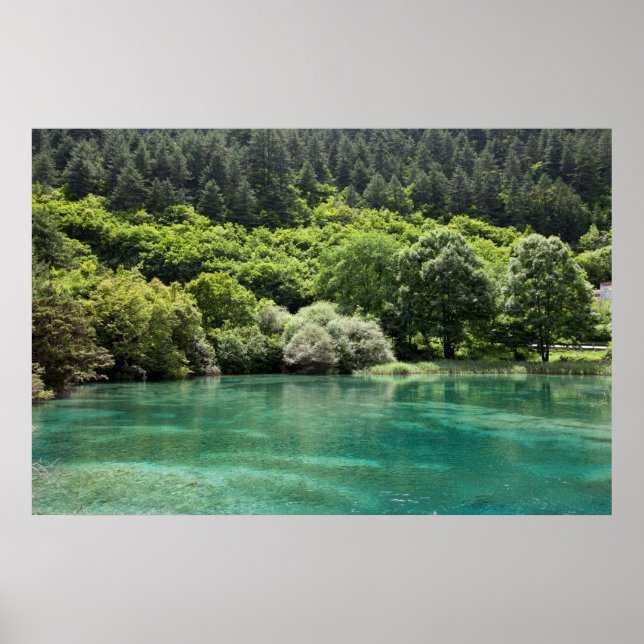 Poster Été dans la vallée de Jiuzhaigou (Devant)