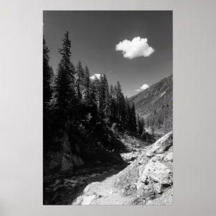 Poster Été en Suisse Photographie noir et blanc
