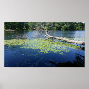 Poster été ensoleillé