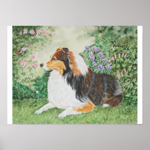 Poster Été Sheltie