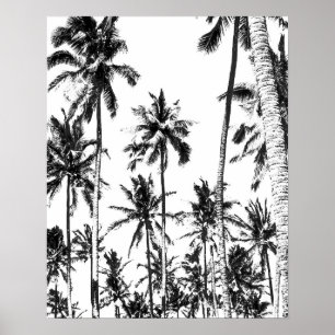 Poster Été tropical de palmier noir et blanc