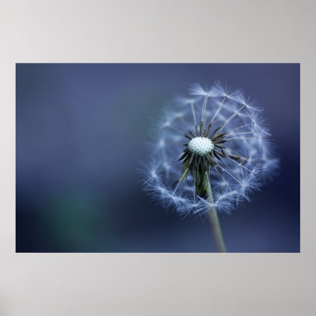 Poster Éteint (Devant)