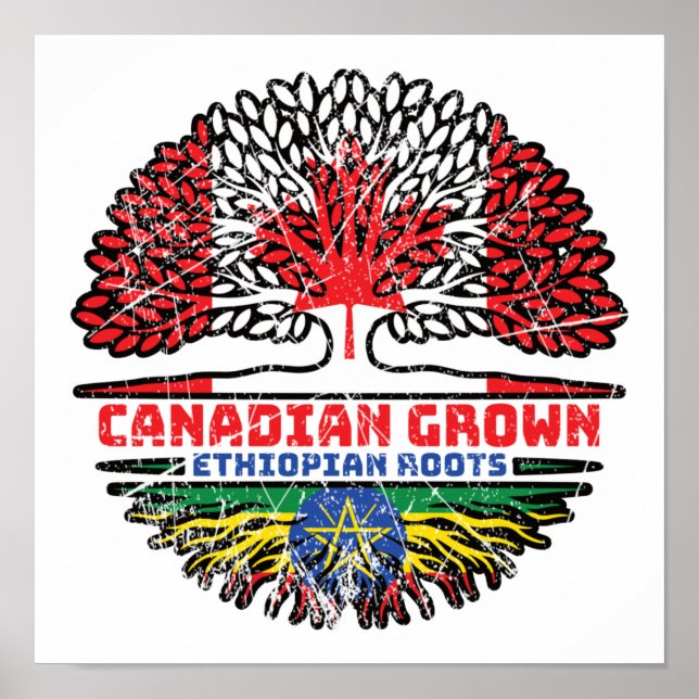 Poster Ethiopie Canada drapeau des racines de l'arbre du  (Devant)