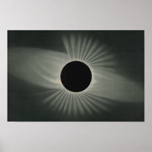 Poster Etienne Leopold Trouvelot - Total Eclipse
