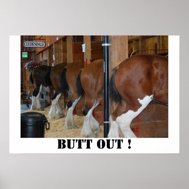 Poster Étiquette à cheval (Devant)