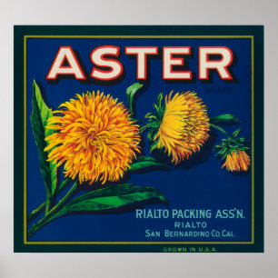 Poster Étiquette Aster Brand Citrus Crate