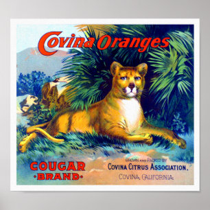 Poster Étiquette de caisse de fruits Oranges Covina Marqu