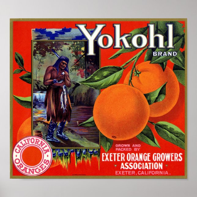 Poster Étiquette de caisse de la marque Yokohl Orange Sch (Devant)