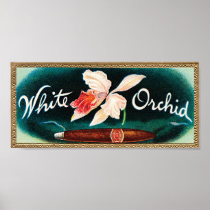 Poster Étiquette de cigre des orchidées blanches
