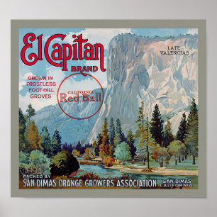 Poster Étiquette de fruit Oranges San Dimas Marque El Cap
