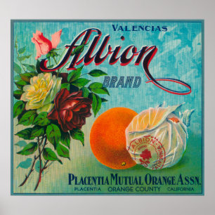 Poster Étiquette de la marque Albion Citrus Crate
