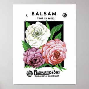 Poster Étiquette de paquet de graine de baume
