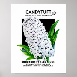 Poster Étiquette de paquet de graine de Candytuft