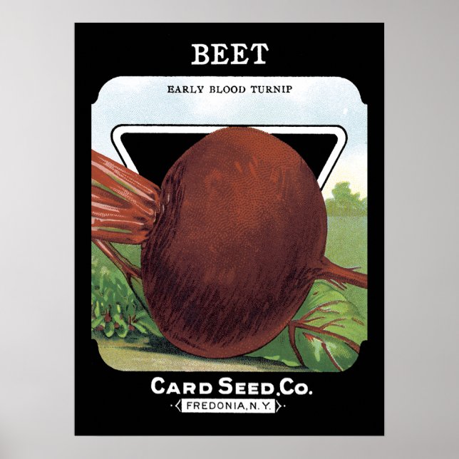 Poster Étiquette de paquets de semences de betteraves (Devant)