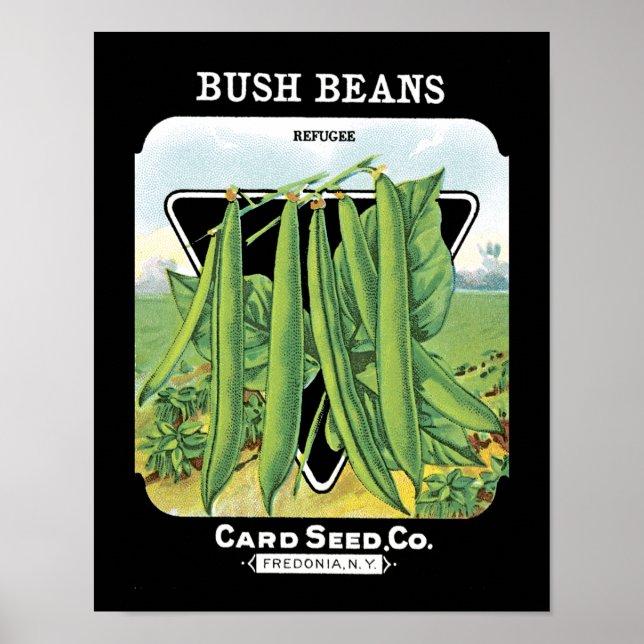 Poster Étiquette de paquets de semences de haricots Bush (Devant)