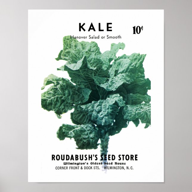 Poster Étiquette de paquets Kale Seed (Devant)