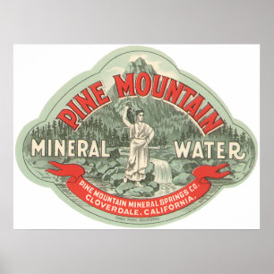 Poster Étiquette de produit vintage, eau minérale de Pine