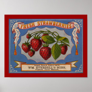 Poster Étiquette frais de fraises