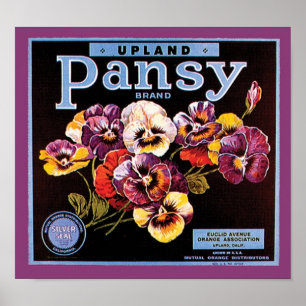 Poster Étiquette Vintage Crate Pansand Haut