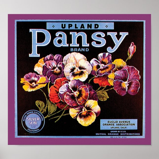 Poster Étiquette Vintage Crate Pansand Haut (Devant)