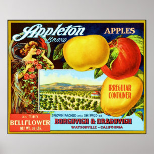 Poster Étiquette vintage de caisse de fruit