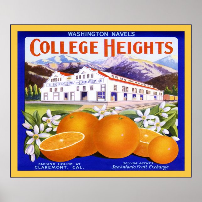 Poster Étiquette vintage Fruit (Devant)