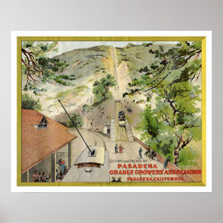 Poster Étiquette Vintage orange