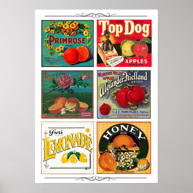 Poster étiquettes vintages de publicité fruitière (Devant)