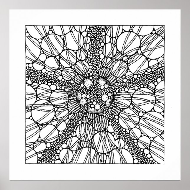 Poster Étoile (Devant)