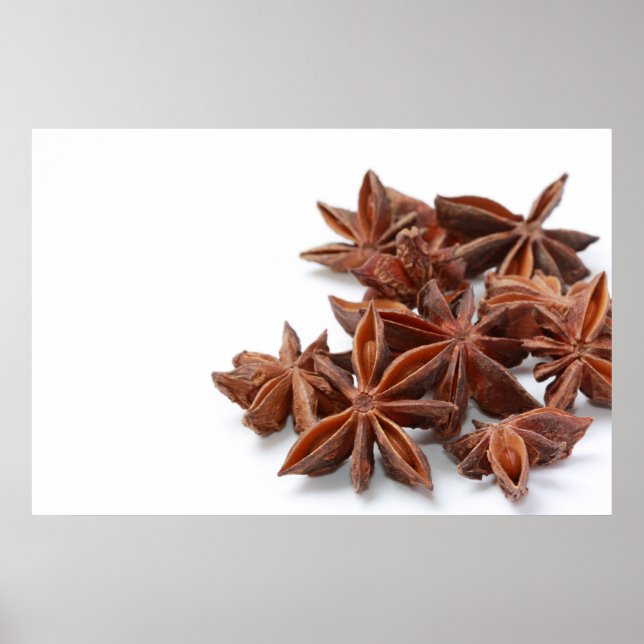Poster Étoile anis (Devant)