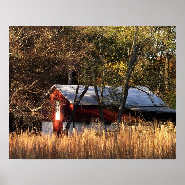 Poster Étoile d'automne dans le Maryland central (Devant)