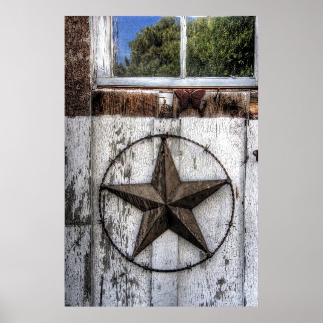POSTER ÉTOILE DE FIL BARBÉ DU TEXAS (Devant)