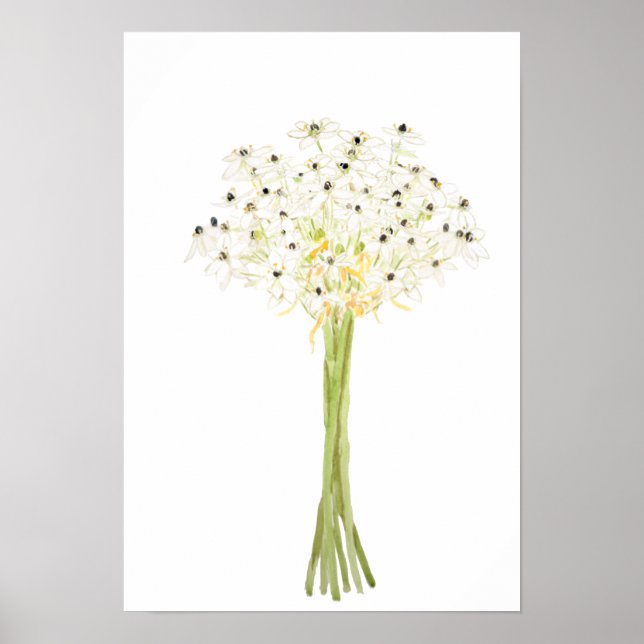 Poster étoile de l'aquarelle de fleur de Bethléem (Devant)