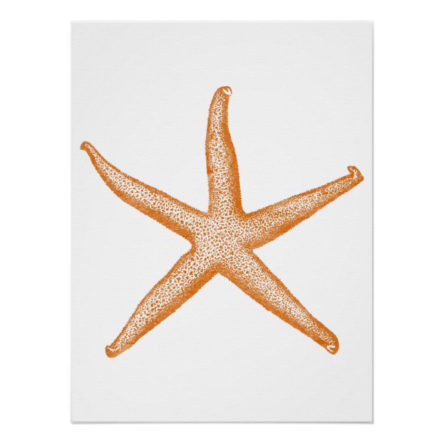 Poster Étoiles de mer (Devant)