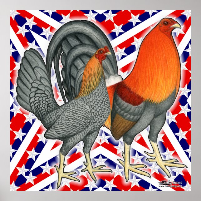 Poster Étoiles et rayures Gamefowl (Devant)