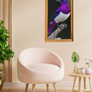Poster Étourneau à dos violet