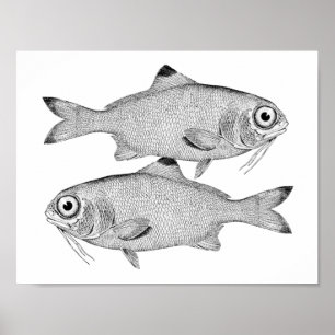 Poster Étrange dessin de poisson vintage
