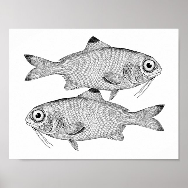 Poster Étrange dessin de poisson vintage (Devant)