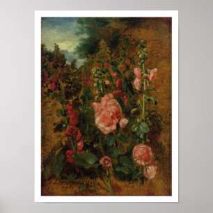 Poster Étude de Hollyhocks, c.1826 (huile à bord)