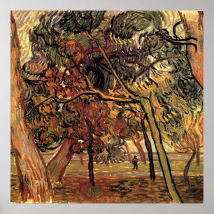 Poster Étude de pins par Vincent van Gogh