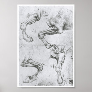 Poster Étude des jambes d'un cheval, Léonard de Vinci