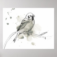 Étude des oiseaux de la nature